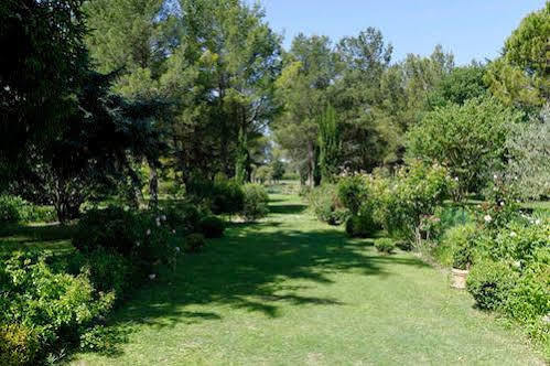 Le Domaine De Saint Veran Orgon Luaran gambar